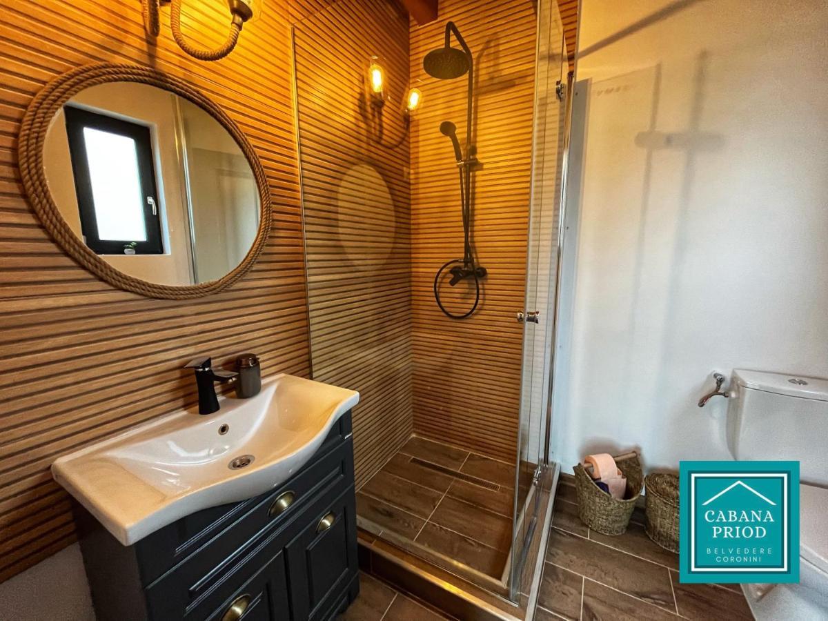 Cabana Priod Coronini Pescari 外观 照片