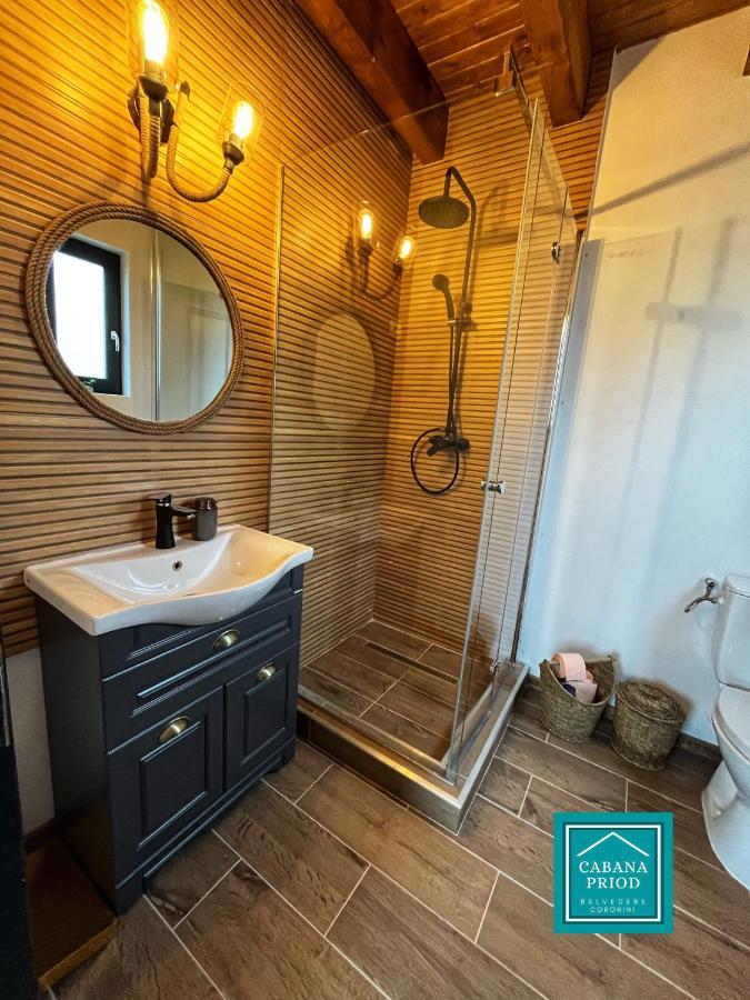 Cabana Priod Coronini Pescari 外观 照片