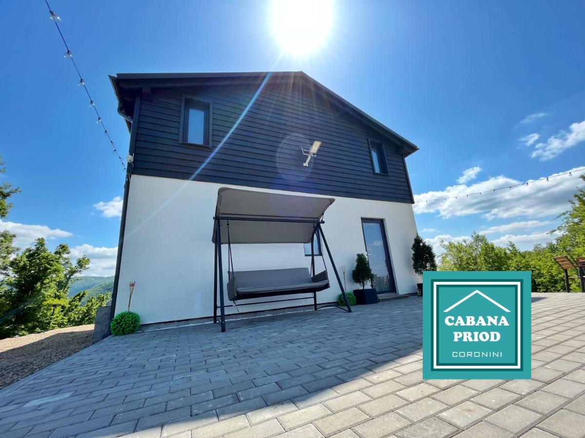 Cabana Priod Coronini Pescari 外观 照片
