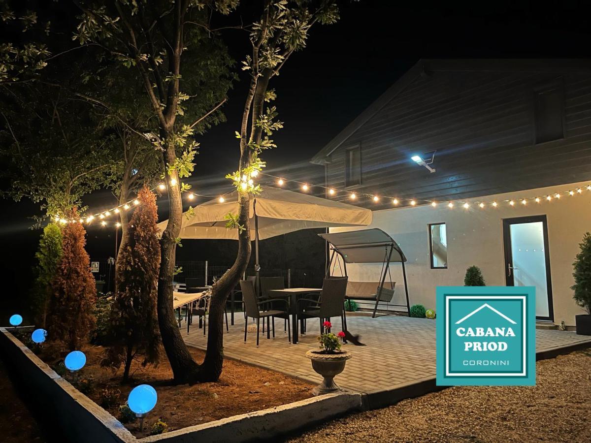 Cabana Priod Coronini Pescari 外观 照片