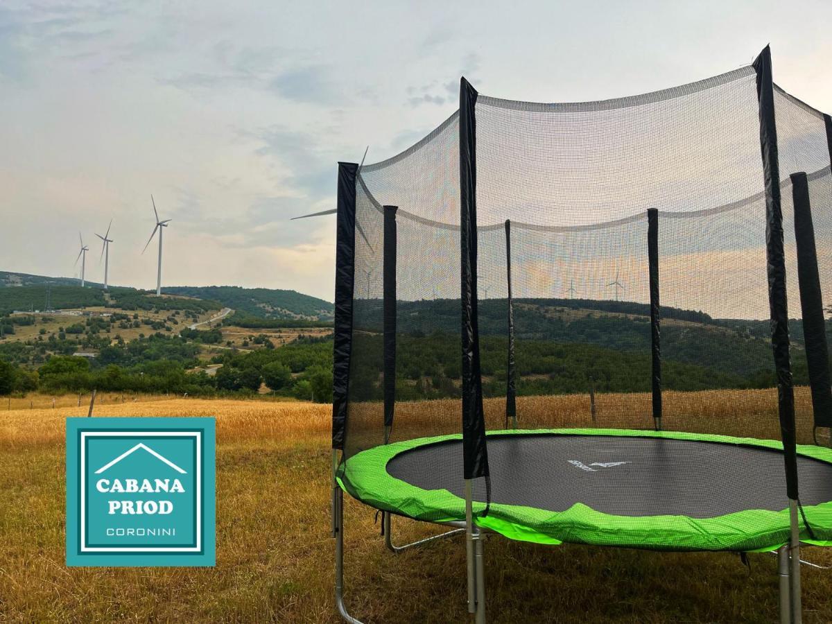 Cabana Priod Coronini Pescari 外观 照片